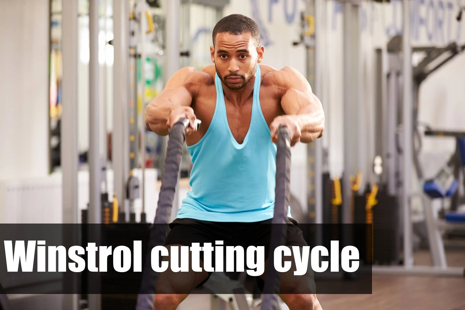 Winstrol cutting cycle
